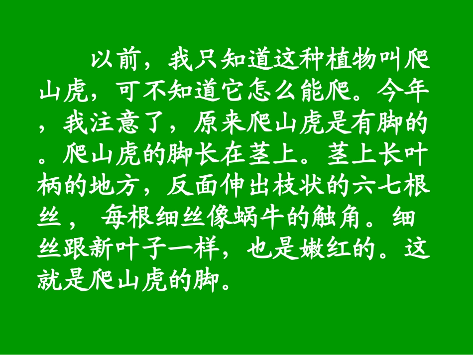 爬山虎的脚改_第3页