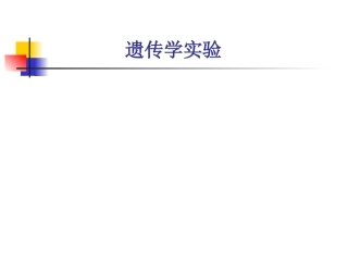 果蝇遗传学实验_2010