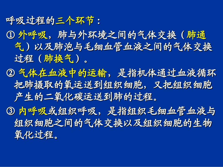 动物生理学 呼吸生理_第2页