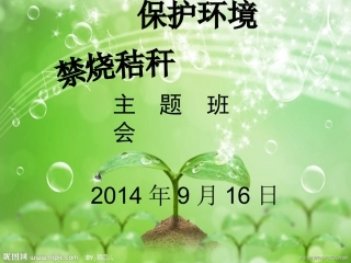 禁烧秸秆主题班会