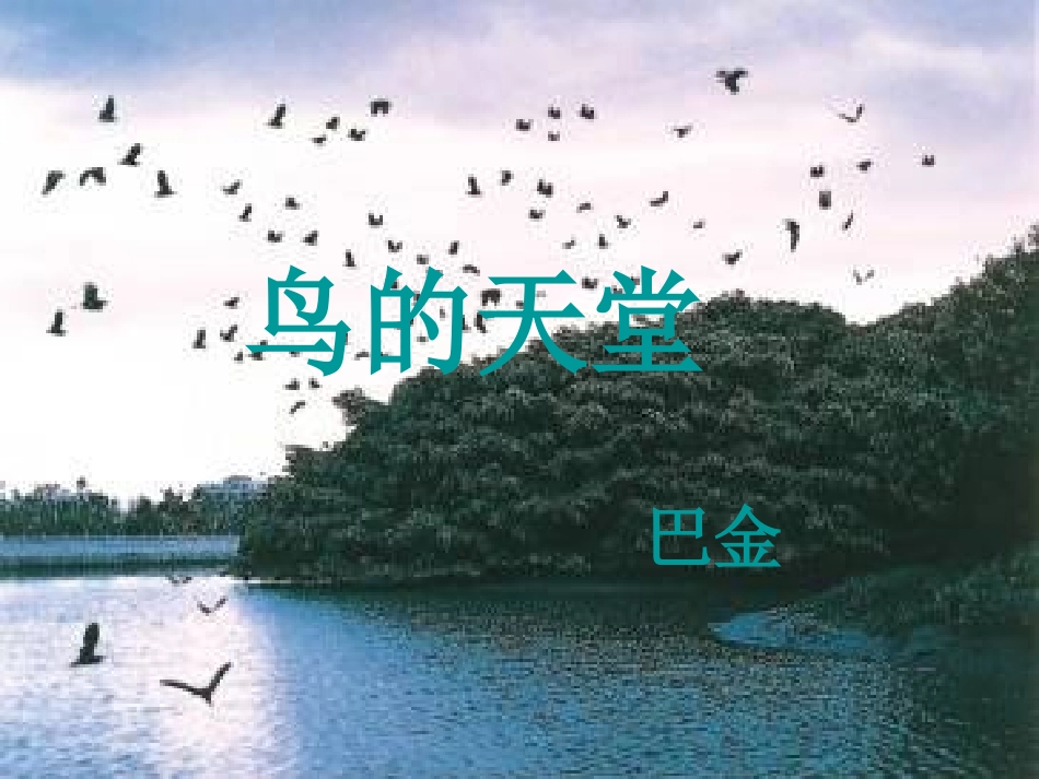 鸟的天堂泡泡糖_第1页
