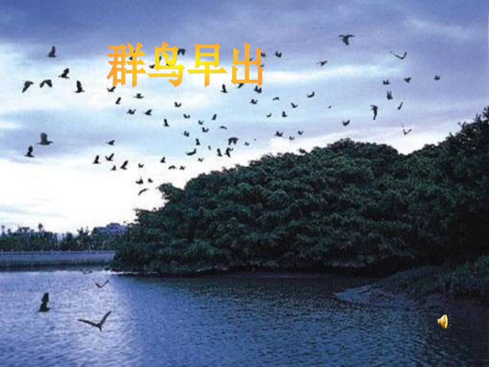 鸟的天堂泡泡糖_第2页
