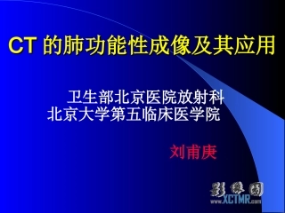 肺的CT功能性成像