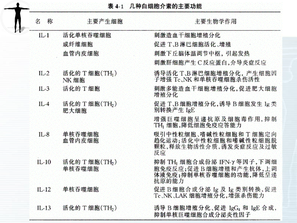 细胞因子MHC免疫器官_第3页