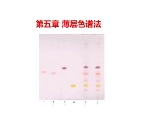 第五章 薄层色谱 .pptx