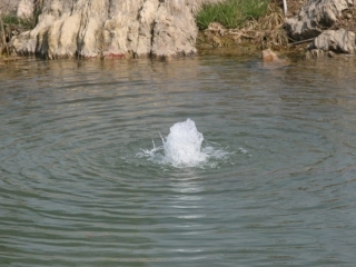 二年级下册语文泉水