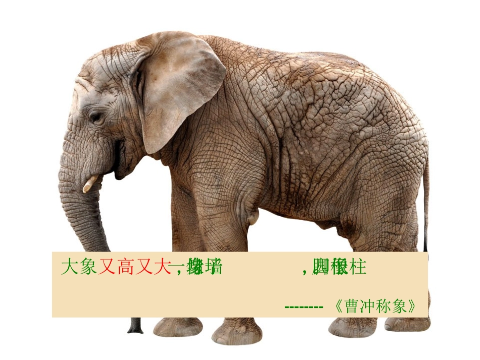 大象的耳朵-第一课时_第3页