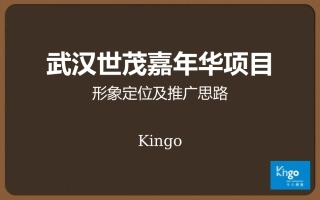 房产提案-世茂嘉年华定位策略(精)