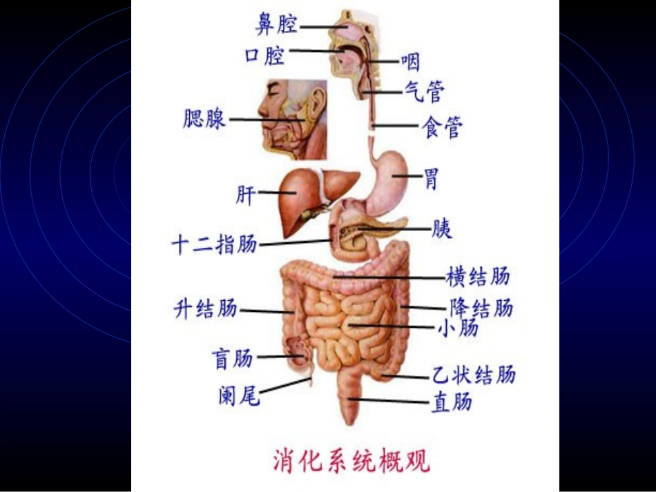 上消化道出血gongliu_第3页