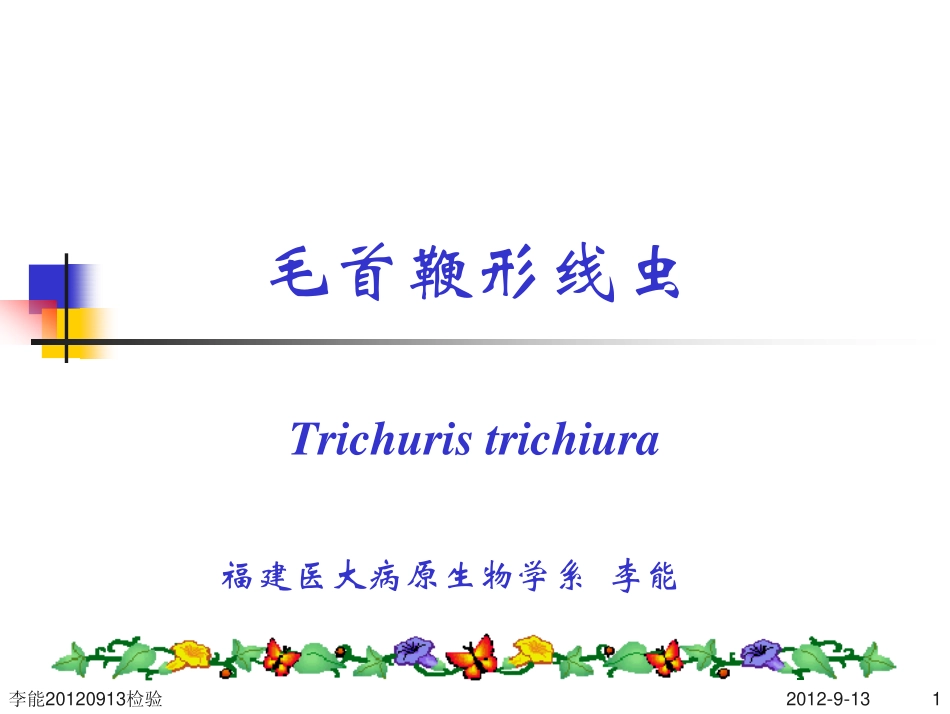 检验 鞭虫、蛲虫_第1页
