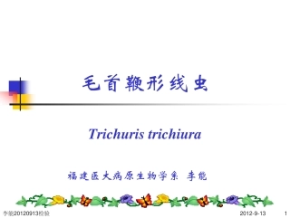 检验 鞭虫、蛲虫