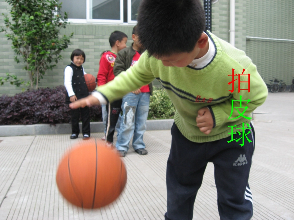 园地一课件23_第3页