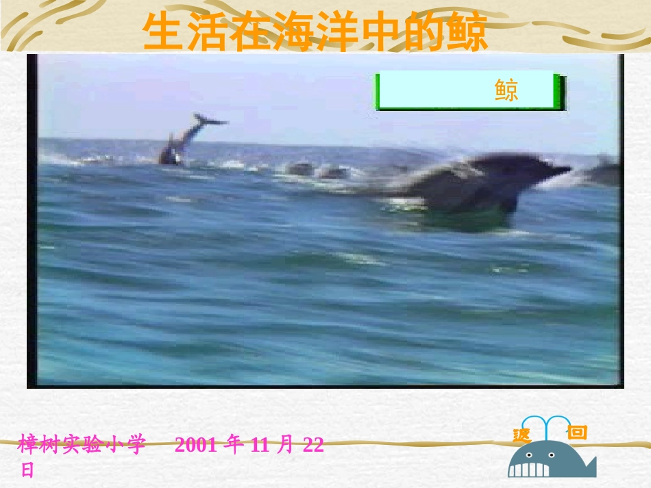 人教版小学语文五年级上册《鲸》100PPT课件_第1页