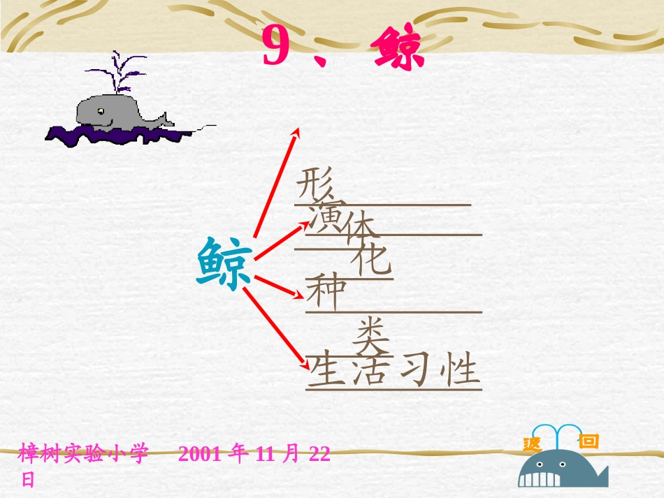 人教版小学语文五年级上册《鲸》100PPT课件_第3页