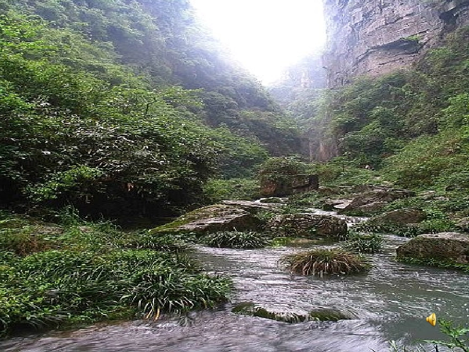 山谷静悄悄课件_第2页