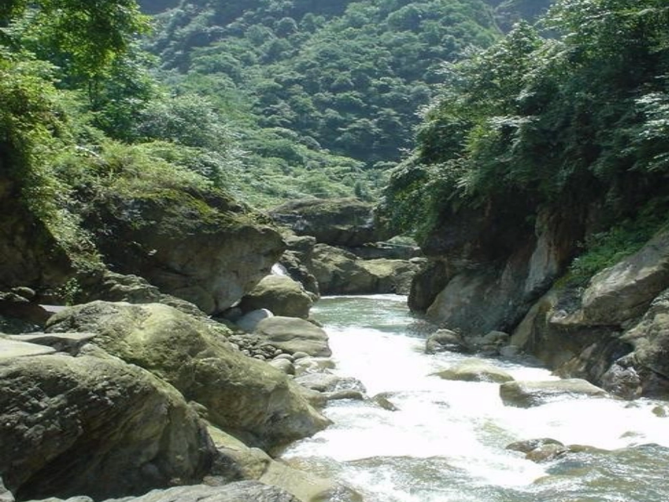 山谷静悄悄课件_第3页