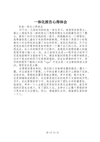 一体化报告心得体会