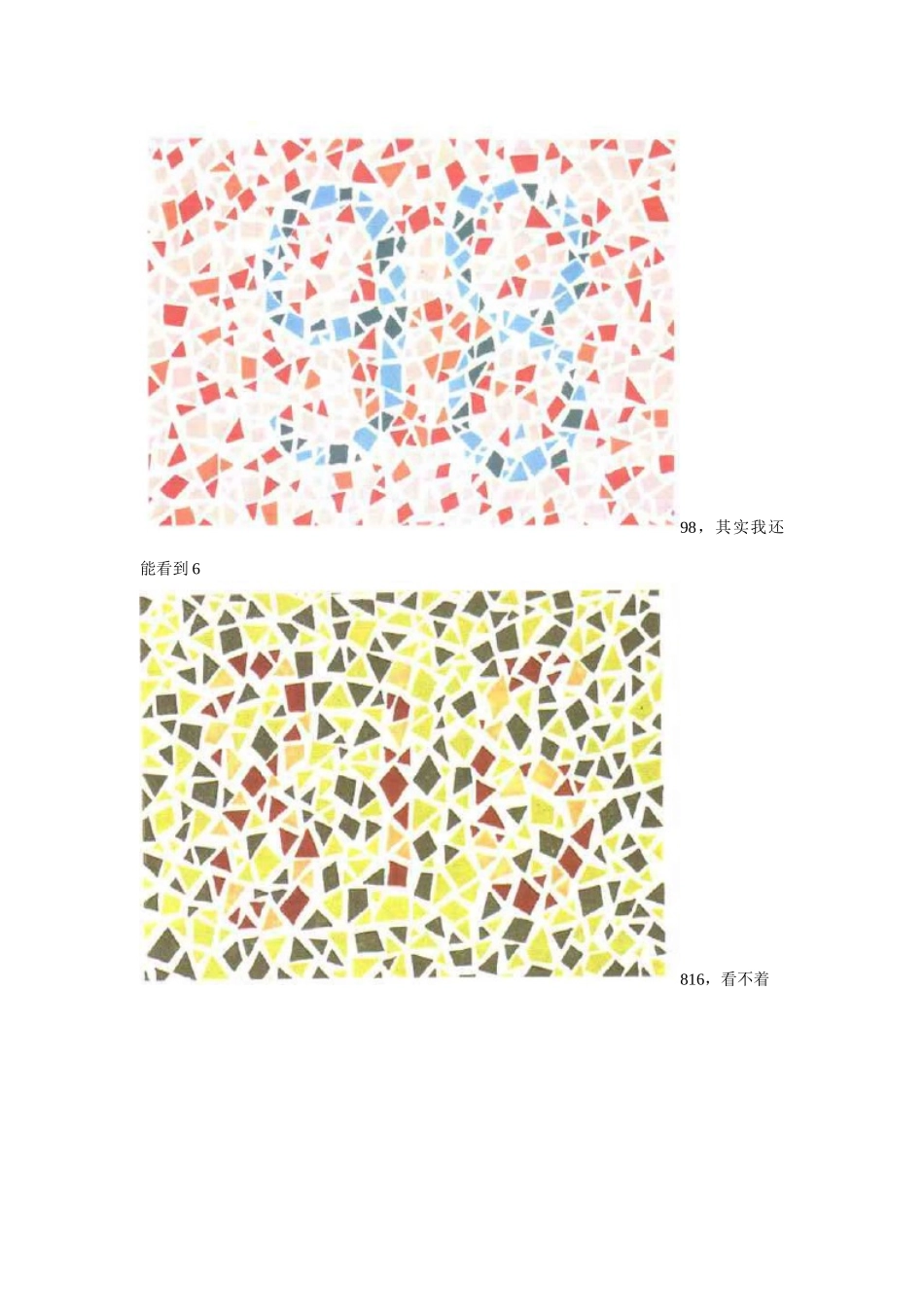 驾照体检轻松过关(黄绿色弱必背检测图)_第3页
