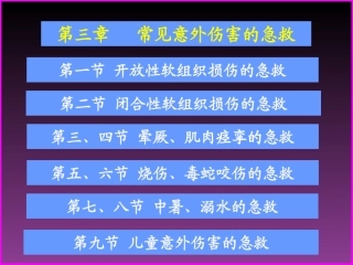 常见意外伤害的急救