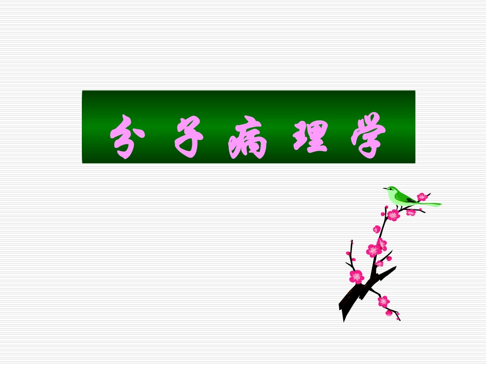 分-子-病-理-学_第1页