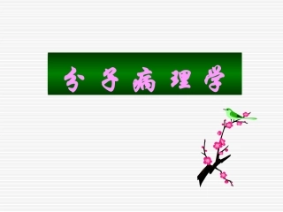 分-子-病-理-学