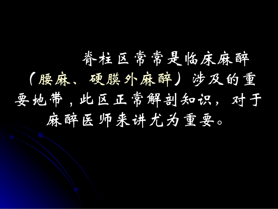 脊柱区的解剖1_第2页