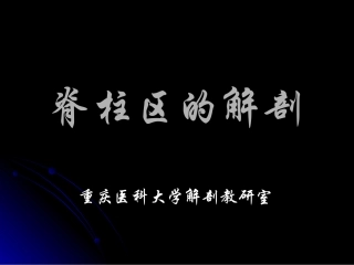 脊柱区的解剖1