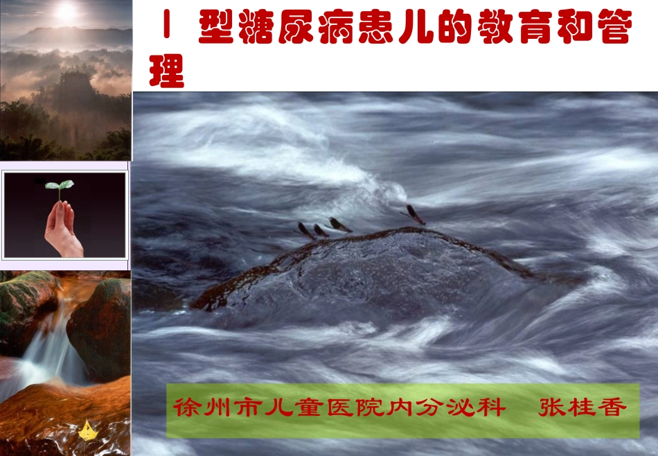 儿童Ⅰ型糖尿病讲诉_第1页