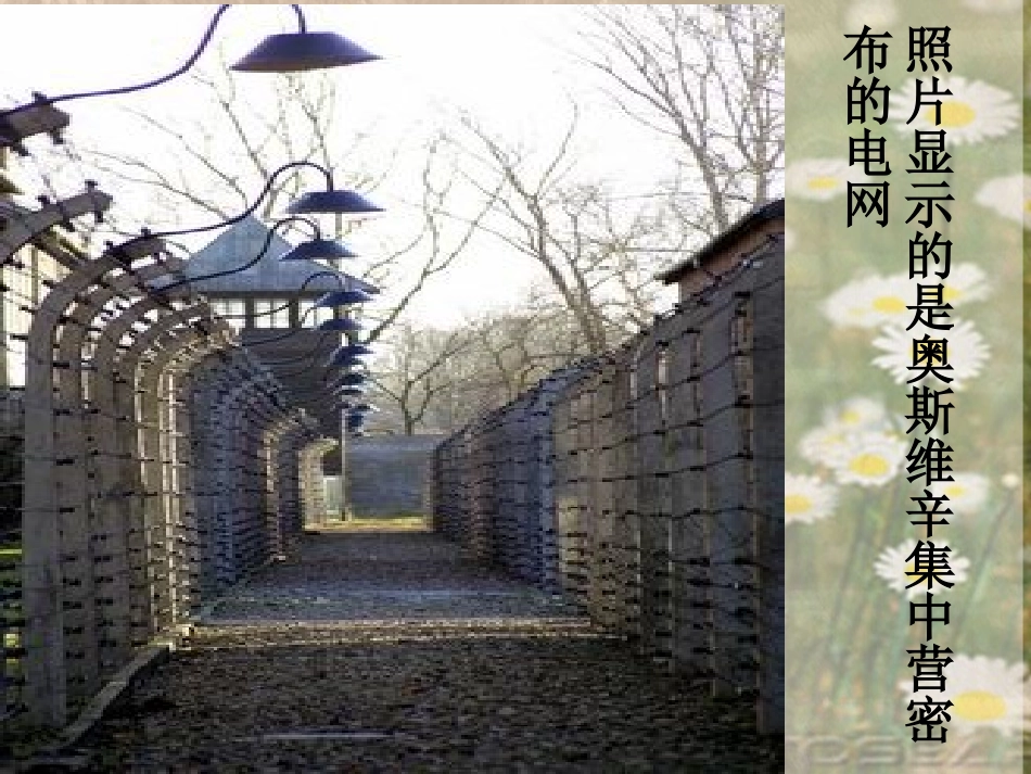 奥斯维辛没有什么新闻(新）_第3页