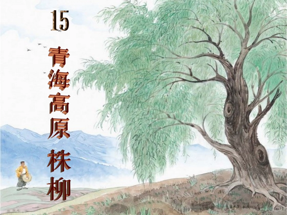 《青海高原一株柳》_第1页