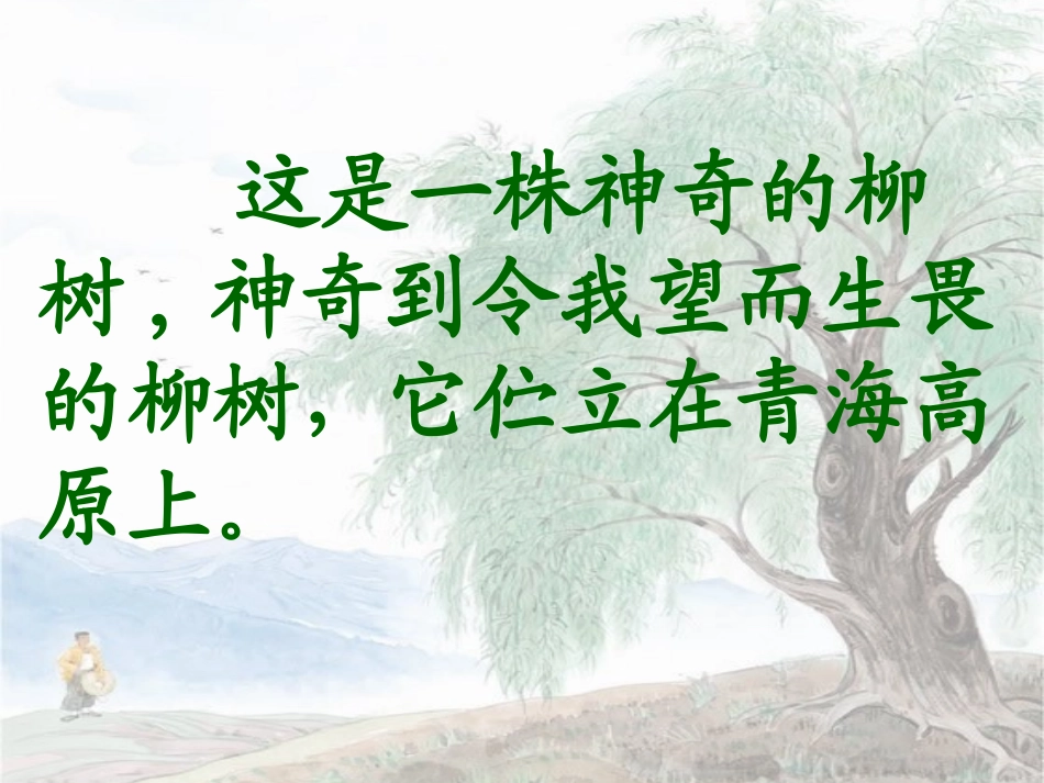 《青海高原一株柳》_第3页