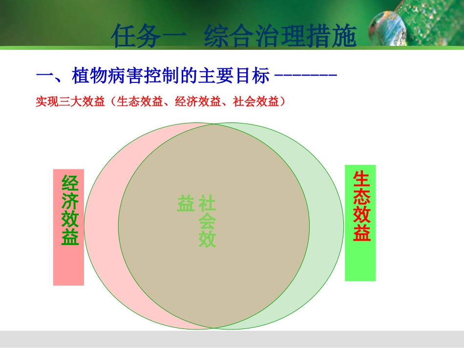 植物病害治理_第2页