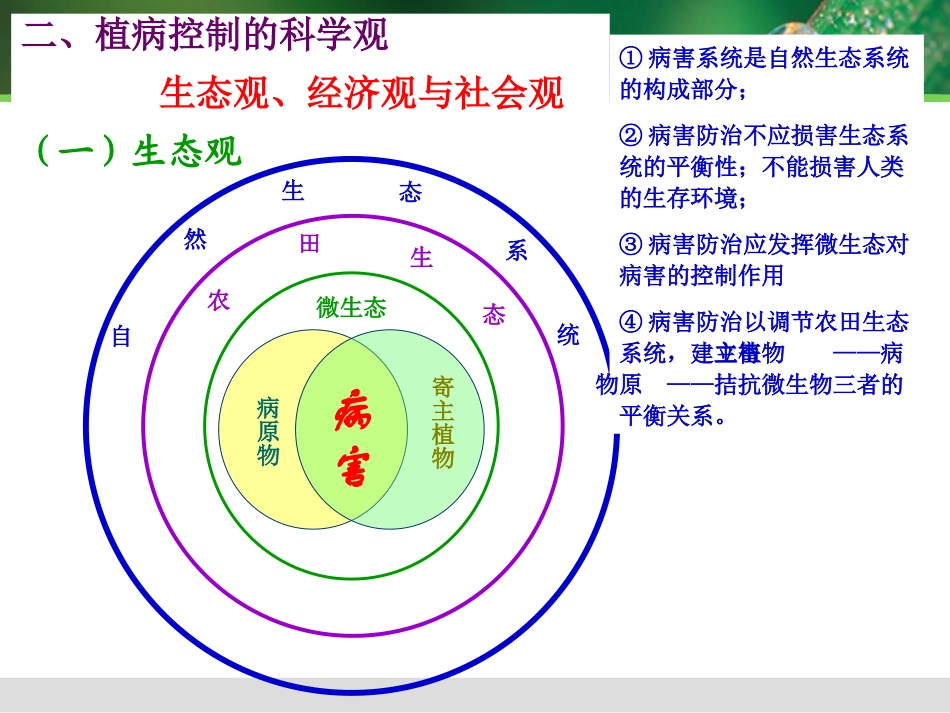 植物病害治理_第3页