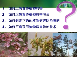 植物病害治理