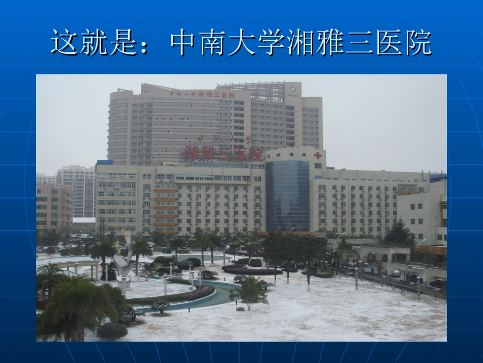 脑出血的风险评价原则与治疗(2010硕) -_第2页