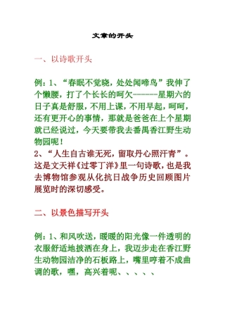 文章的开头方法