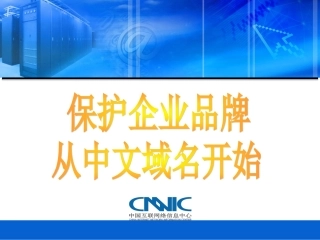 保护企业品牌,从中文域名开始