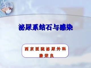 泌尿系结石与感染-秦教授