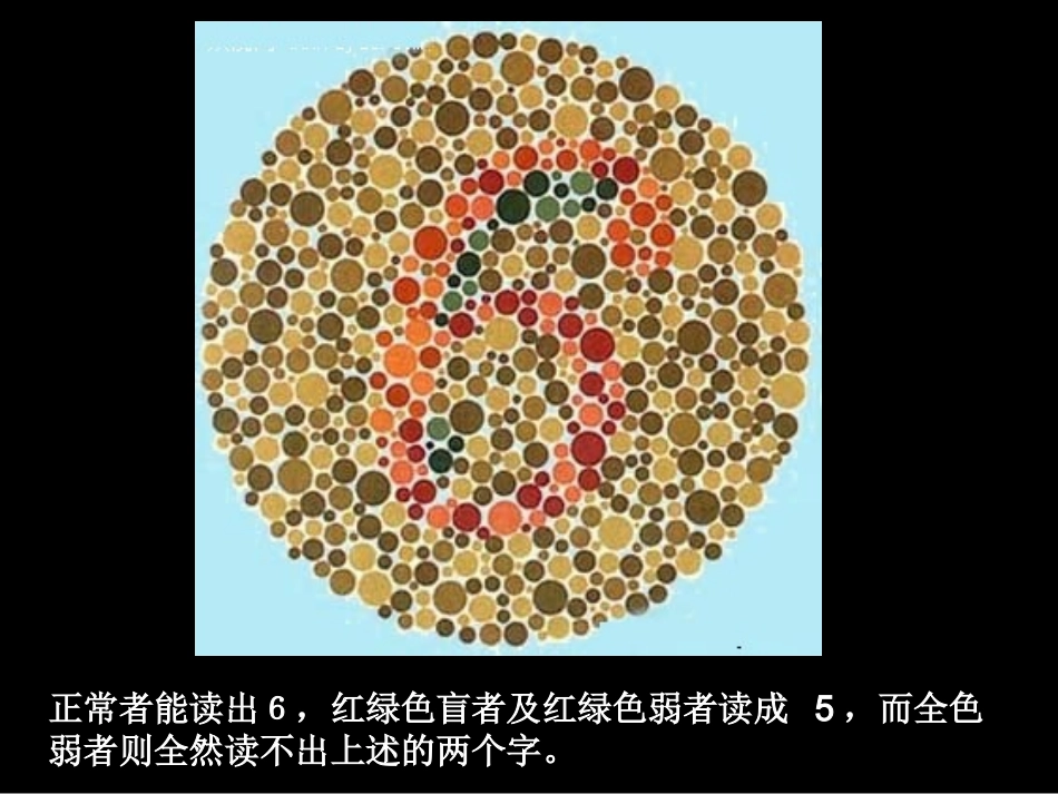 北师大版八年级上册第六单元第六节遗传病和人类健康(共45张PPT)_第3页