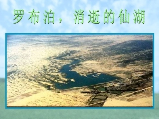 罗布泊消逝的仙湖1