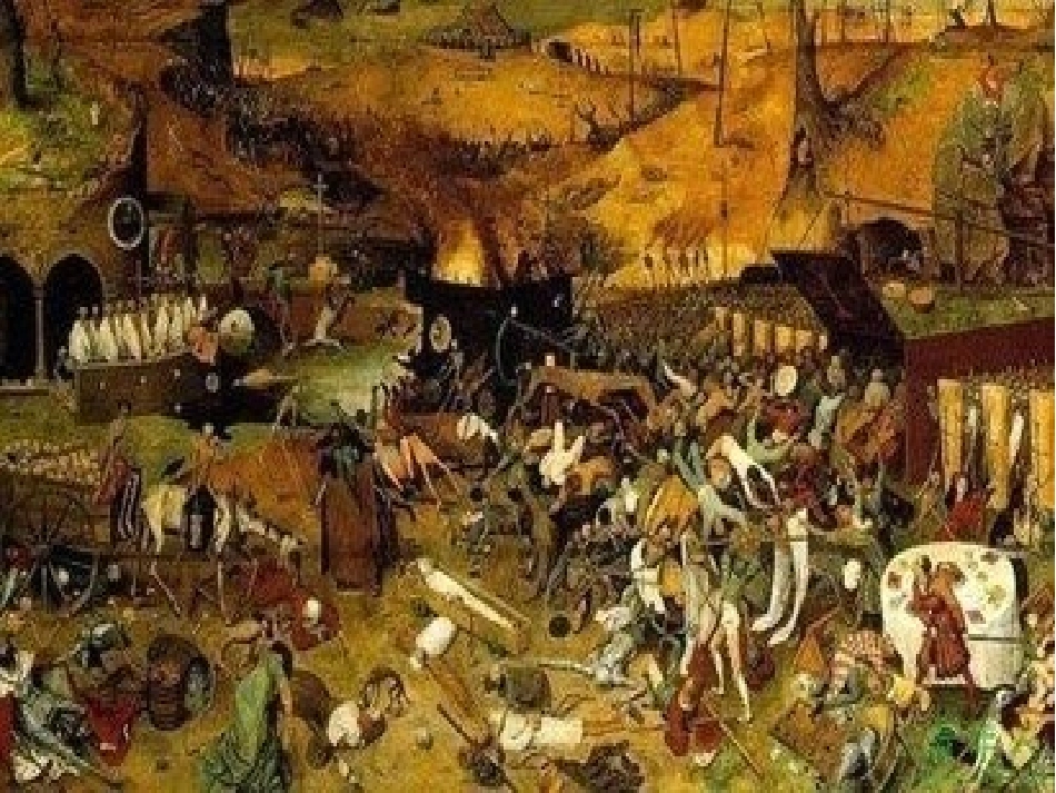 第七章  免疫学概论_第3页