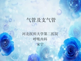 正常纤维支气管镜下结构