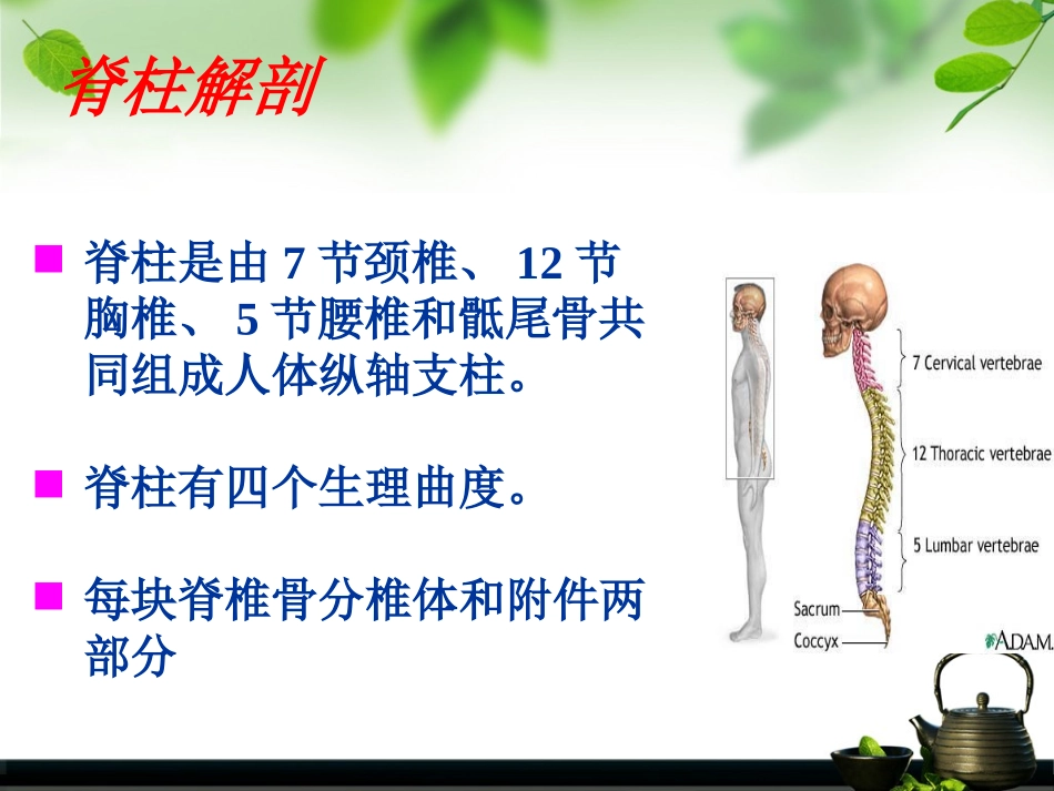 脊柱骨折讲课件_第3页