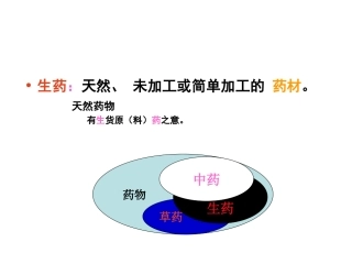 生药学复习重点(广药药学2009级)