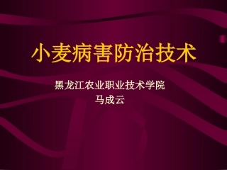 小麦病害防治技术-黑龙江农技学院