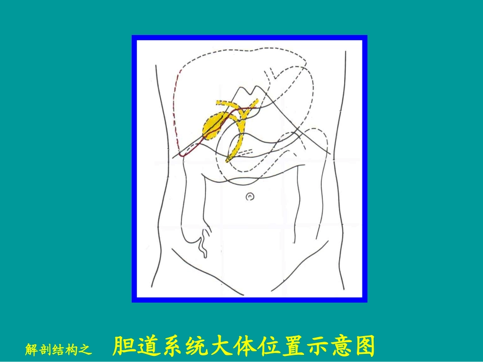 急性化脓性梗阻性胆管炎_第3页