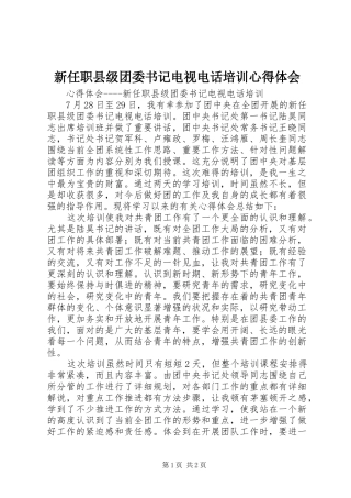 新任职县级团委书记电视电话培训心得体会