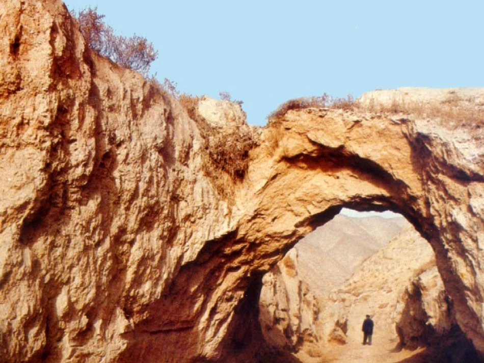 八年级地理黄土高原_第2页