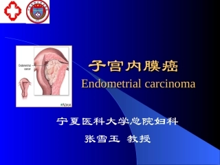 子宫内膜癌(本科)+