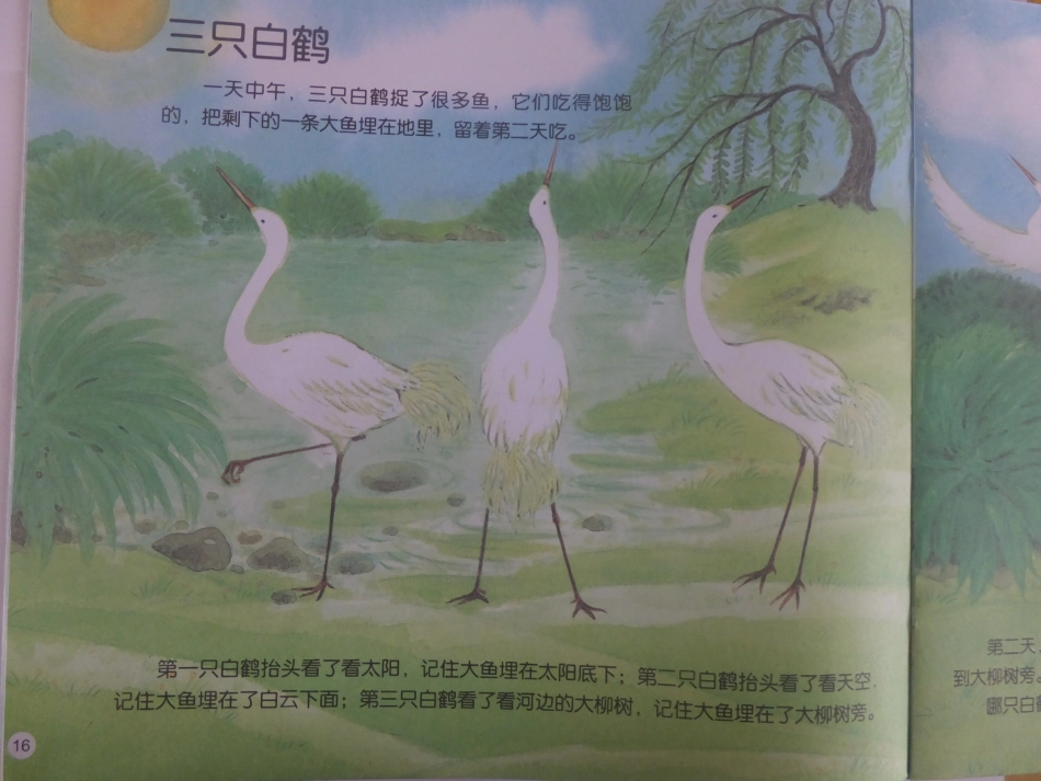 三只白鹤1(2)_第1页